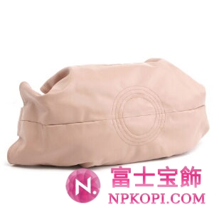 ロエベ　ショルダーバッグ　ナッパ　アイレ　ＮＡＰＰＡ　ＡＩＲＥ LOEWE 309 82 1021
